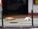 IMG_20191113_142026_1531x1200.jpg