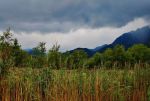 20170901_142000_LG-H870_40_mm_Real_ISO50_f_18_1024x692.jpg