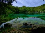 20170903_115715_DMC-GM1_120_mm_Real_ISO200_f_63_1023x768.jpg