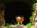 20140620151148__0028.jpg