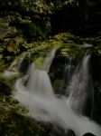 20170903_131852_DMC-GM1_120_mm_Real_ISO125_f_180_768x1023.jpg
