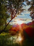 20170905_182747_LG-H870_40_mm_Real_ISO50_f_18_768x1024.jpg