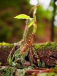 20140624_095734.jpg