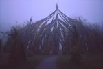 Willow-castle_they_call_this._Bremerhaven_near_my_parents_home.jpg