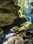 20170830_121438_LG-H870_40_mm_Real_ISO50_f_18_768x1024.jpg