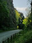 20170830_112421_DMC-GM1_320_mm_Real_ISO125_f_63_768x1023.jpg