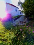 20170905_170425_LG-H870_20_mm_Real_ISO50_f_24_768x1024.jpg